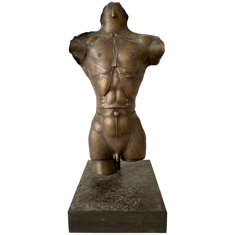 Männlicher Torso